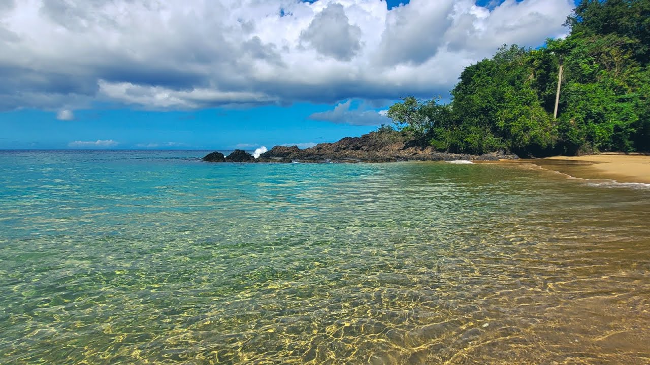 Back Bay Tobago | Road Trip Adventures