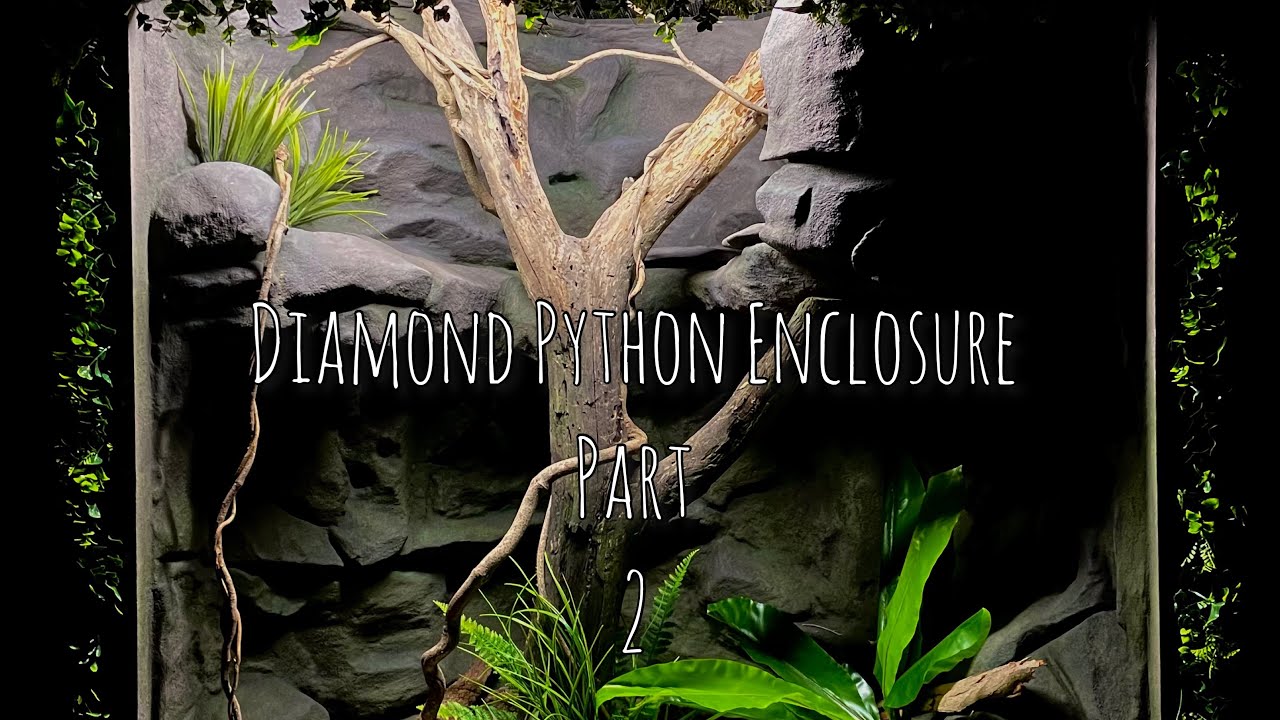 Diamond Python Build Part 2 - Installing fake plants, substrates and adding my diamond python in.