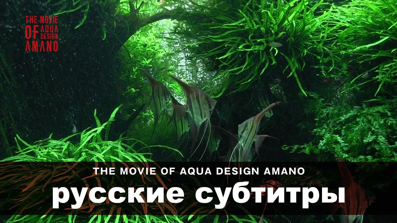[ADAview] THE MOVIE OF AQUA DESIGN AMANO [side:concept] - русские субтитры