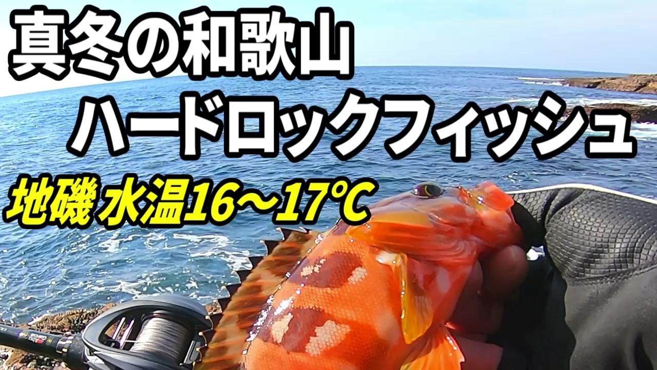 真冬の地磯のロックフィッシュ　アカハタ狙い