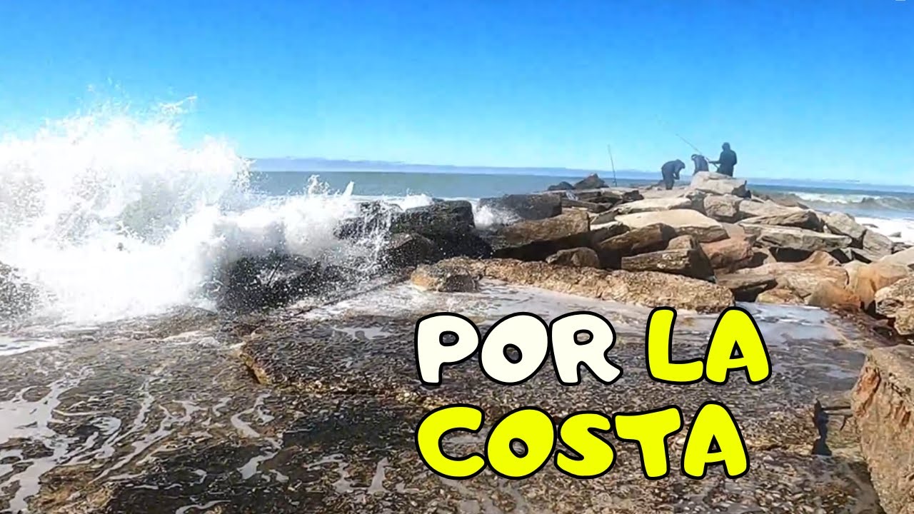 Lo que vemos por la costa de Mar del Plata