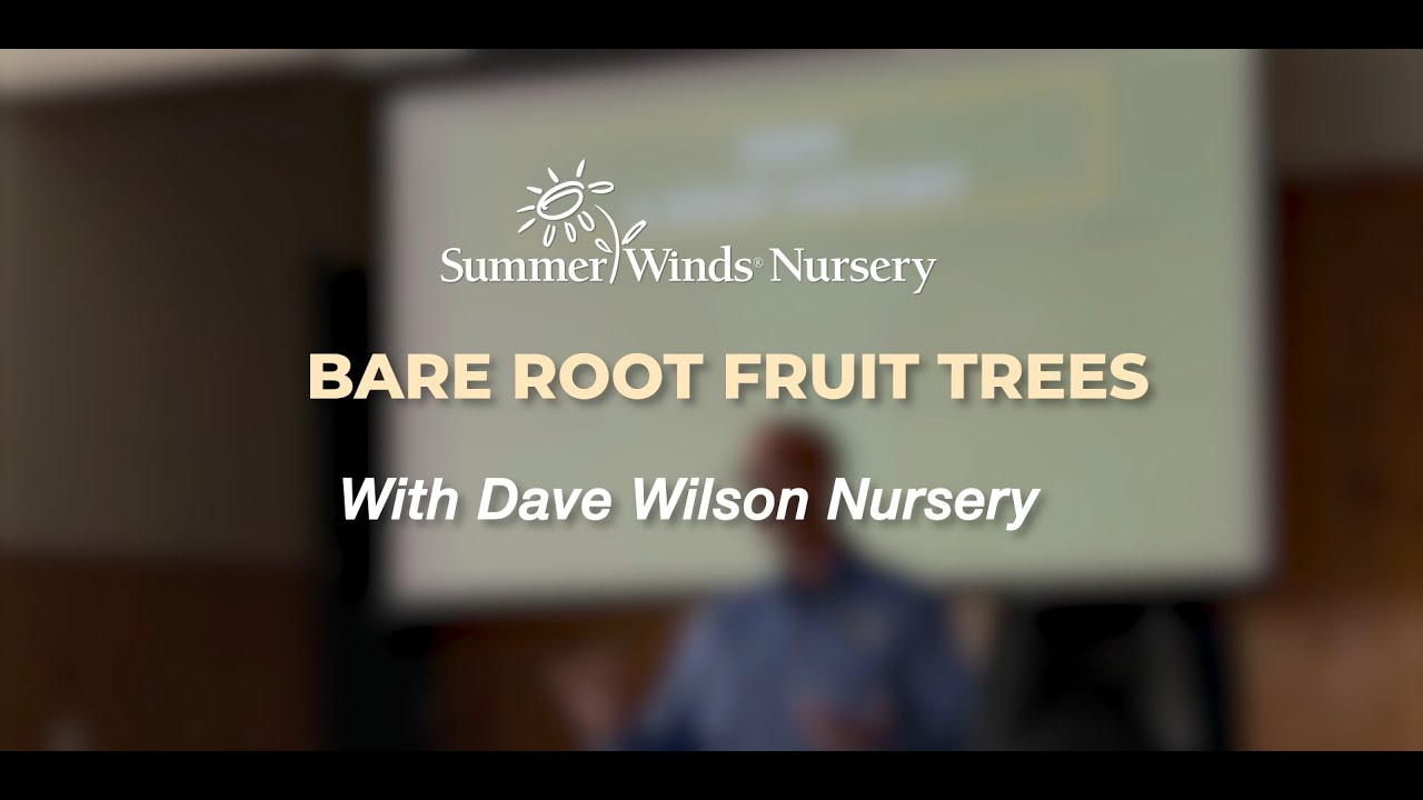 Bare Root Fruit Tree Varieties with Dave Wilson Nursery