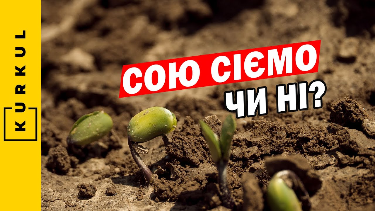 Чи відмовлятись від вирощування сої — стратегія на новий сезон / Куркуль