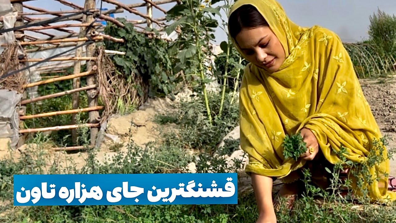 قشنگ ترین جای هزاره ٹاون || The Most Beautiful Place In HazaraTown