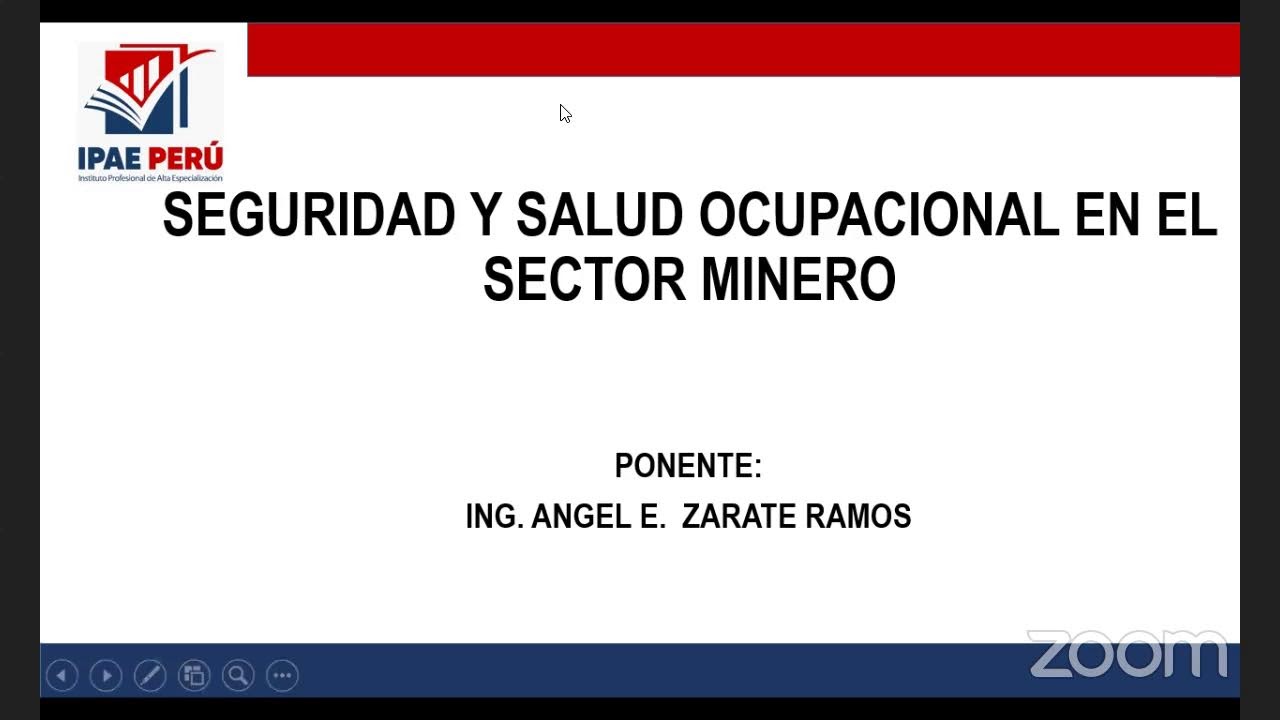 CURSO: SEGURIDAD Y SALUD OCUPACIONAL EN EL SECTOR MINERO