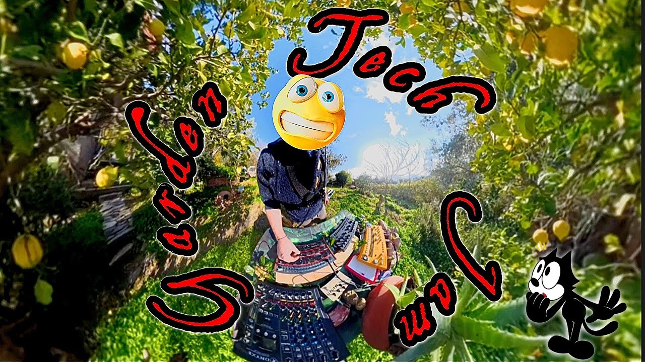 A Live Tech Jam under my lemon tree
