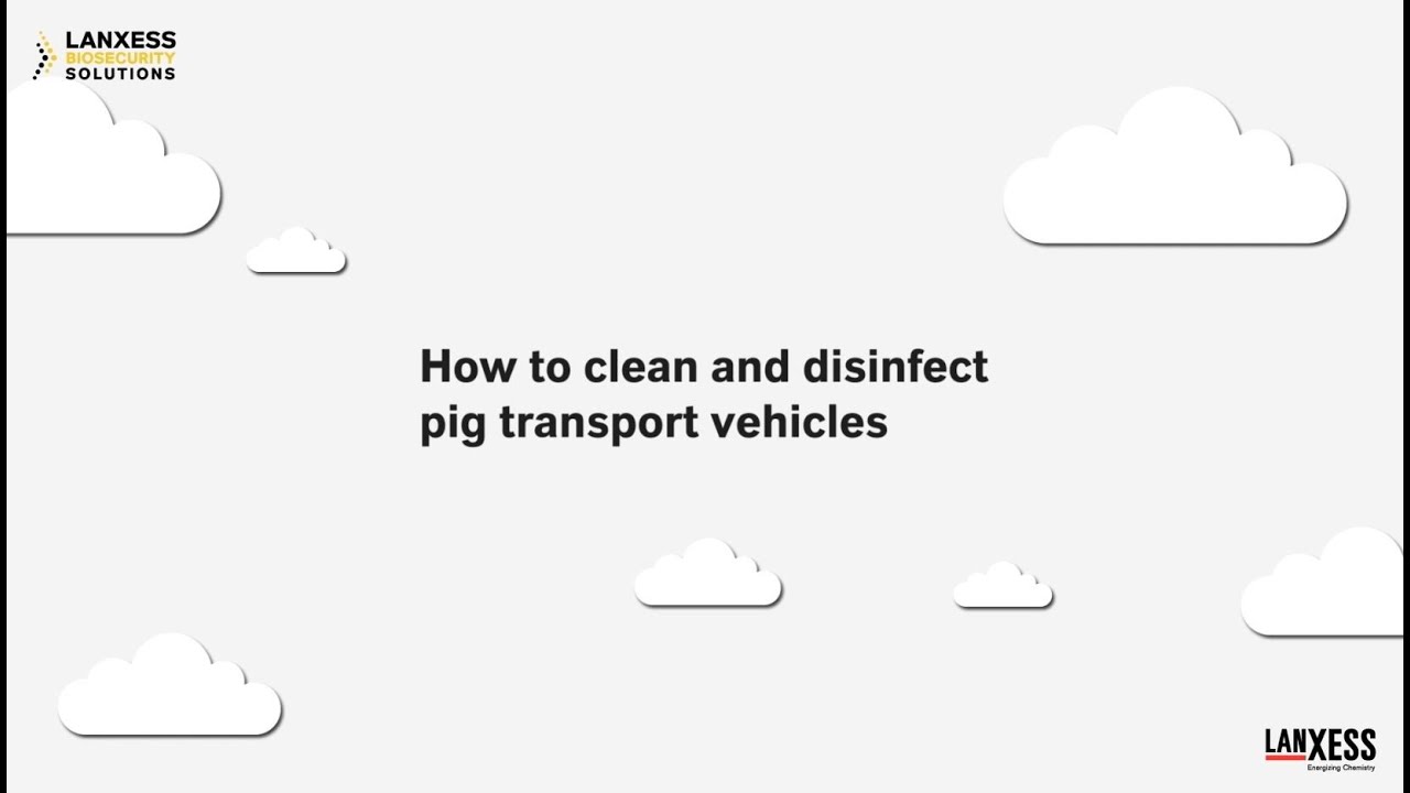 How to clean and disinfect pig transport vehicles