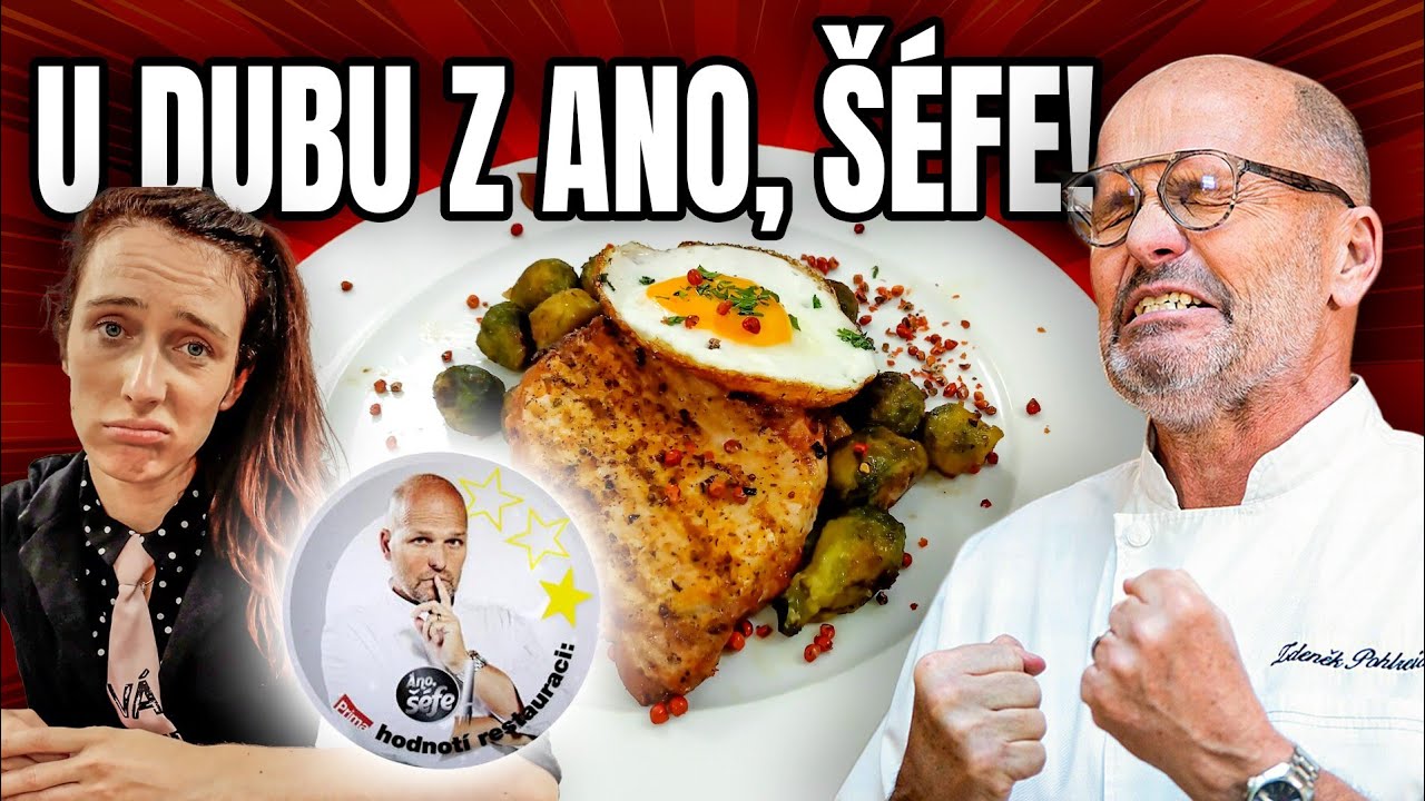 U DUBU Z ANO, ŠÉFE! Zdeněk by jim to tady znovu nedal! #anosefe #jídlo #restaurace