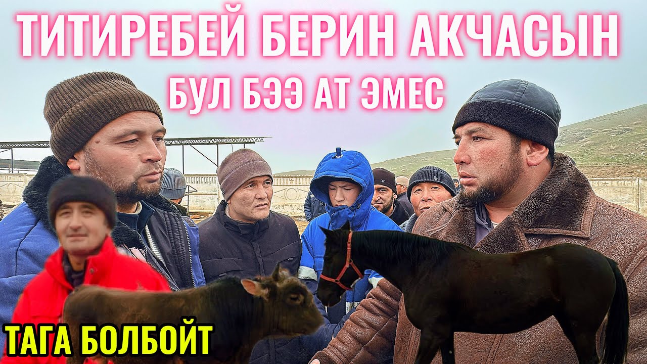 АРАВАН МАЛ БАЗАР 12.02.26ж БАА КОТОРУЛДУ