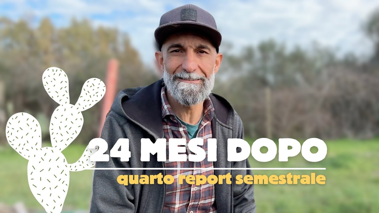 #25 | 24 Mesi Dopo - Quarto Bilancio Semestrale