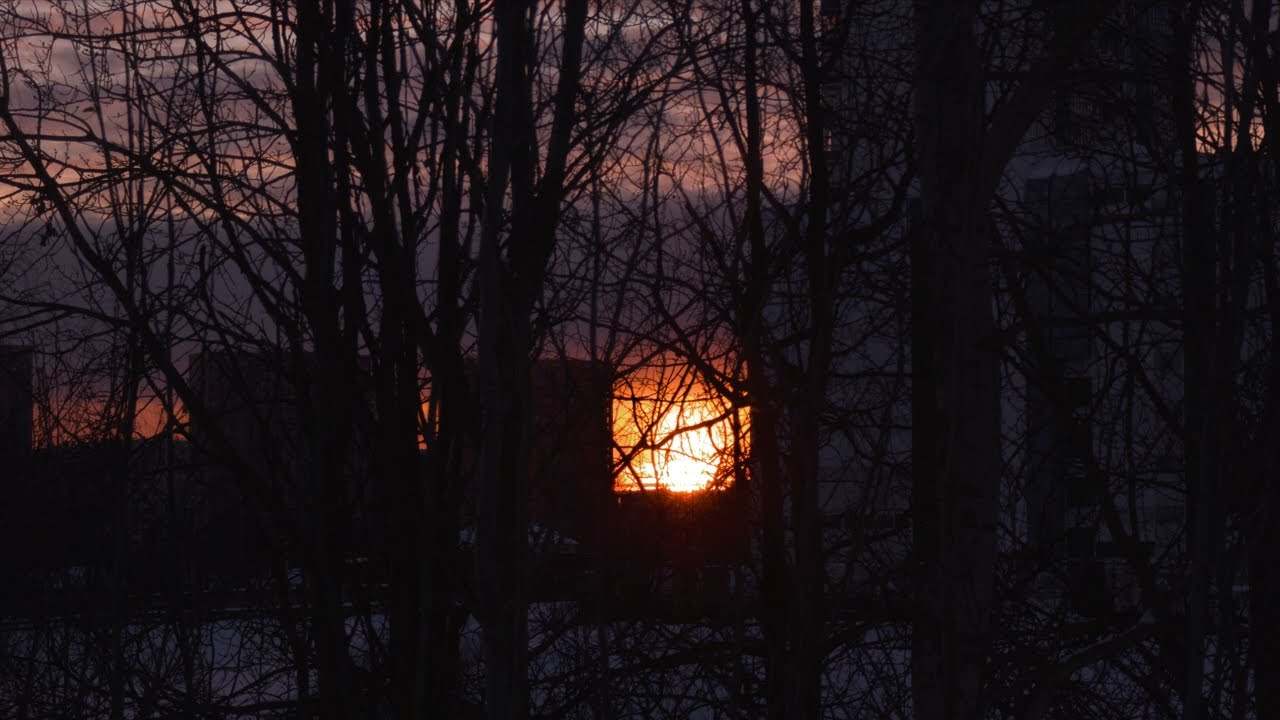 nihigo - some improvisations