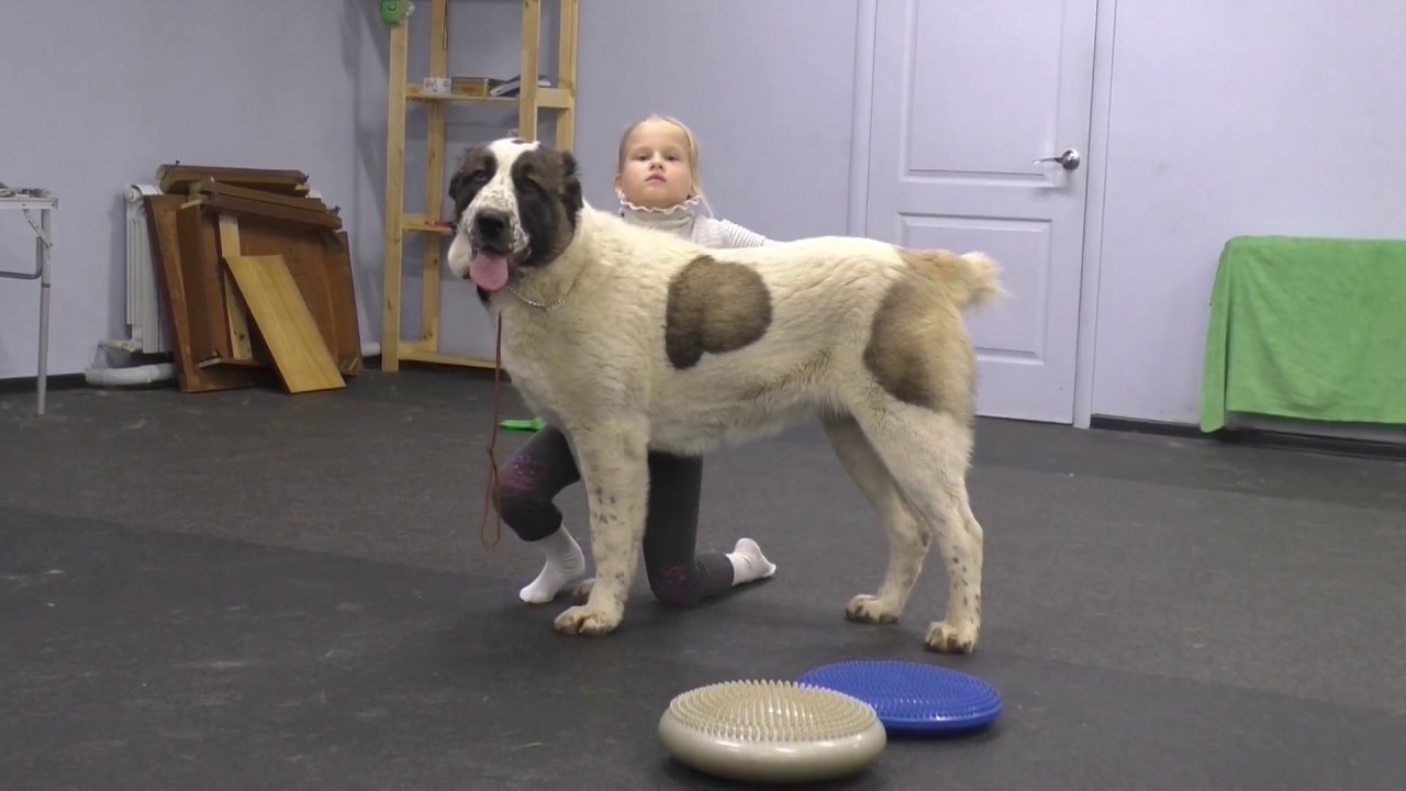 Хендлерские штучки