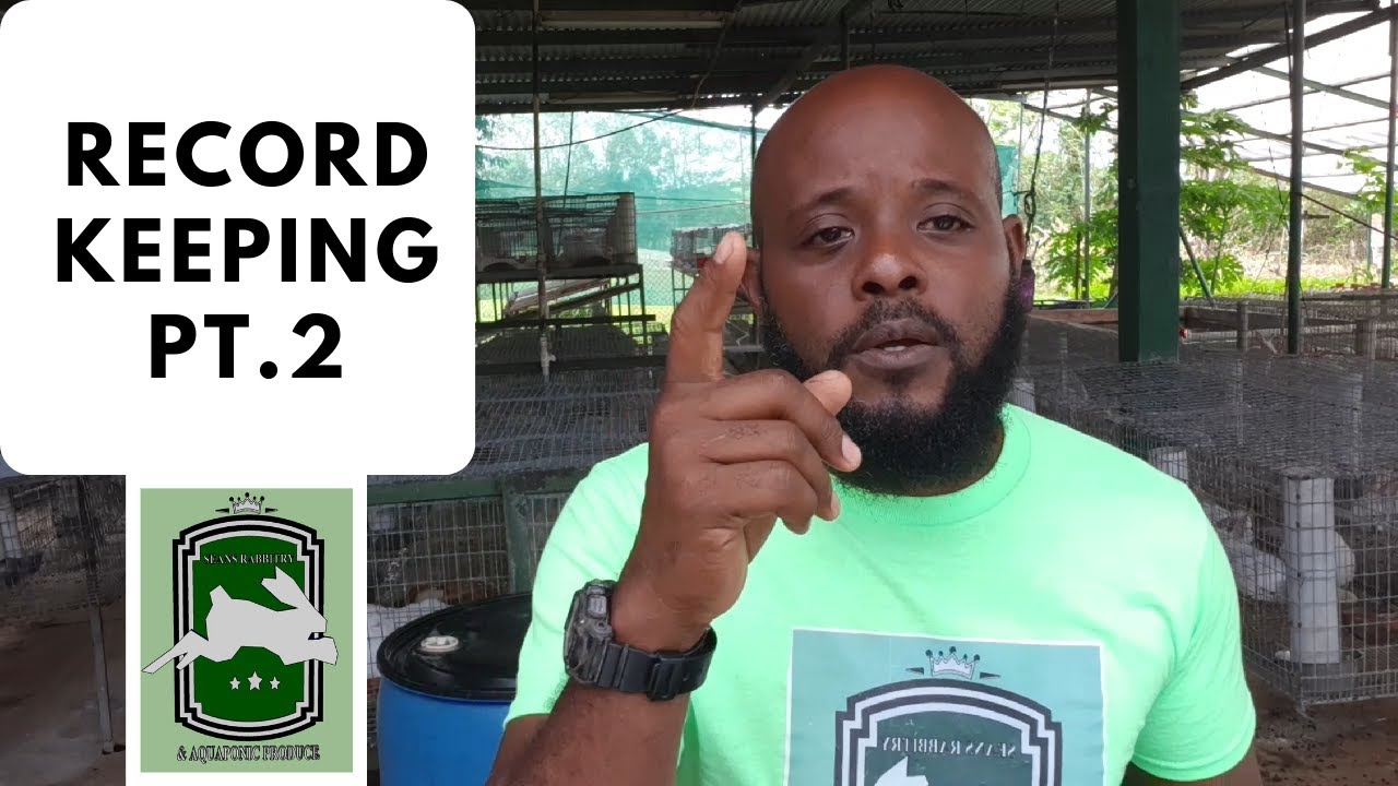 Trinidad Rabbit Farming - Record Keeping Pt 2