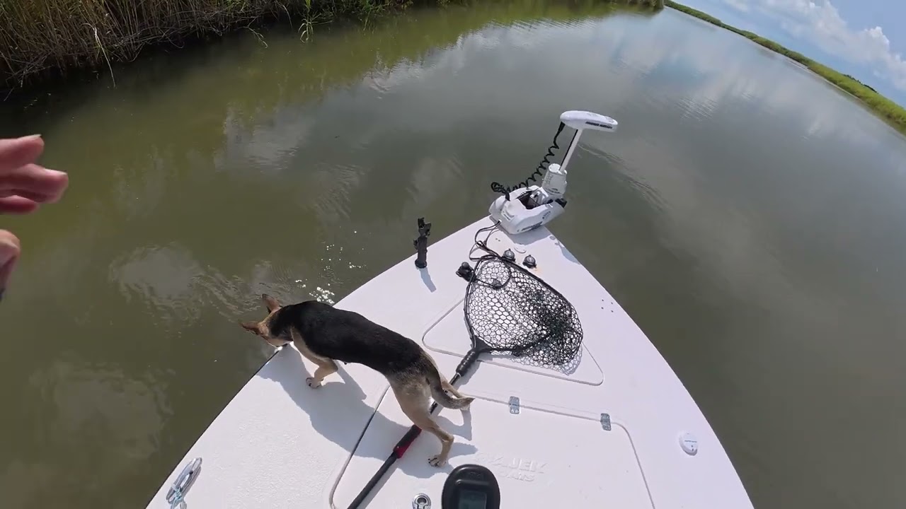 From Zero to Hero on the Way In | Popping cork recovery