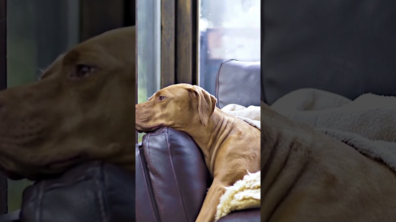 Wedding invite said no dress code...now Im banned from photos