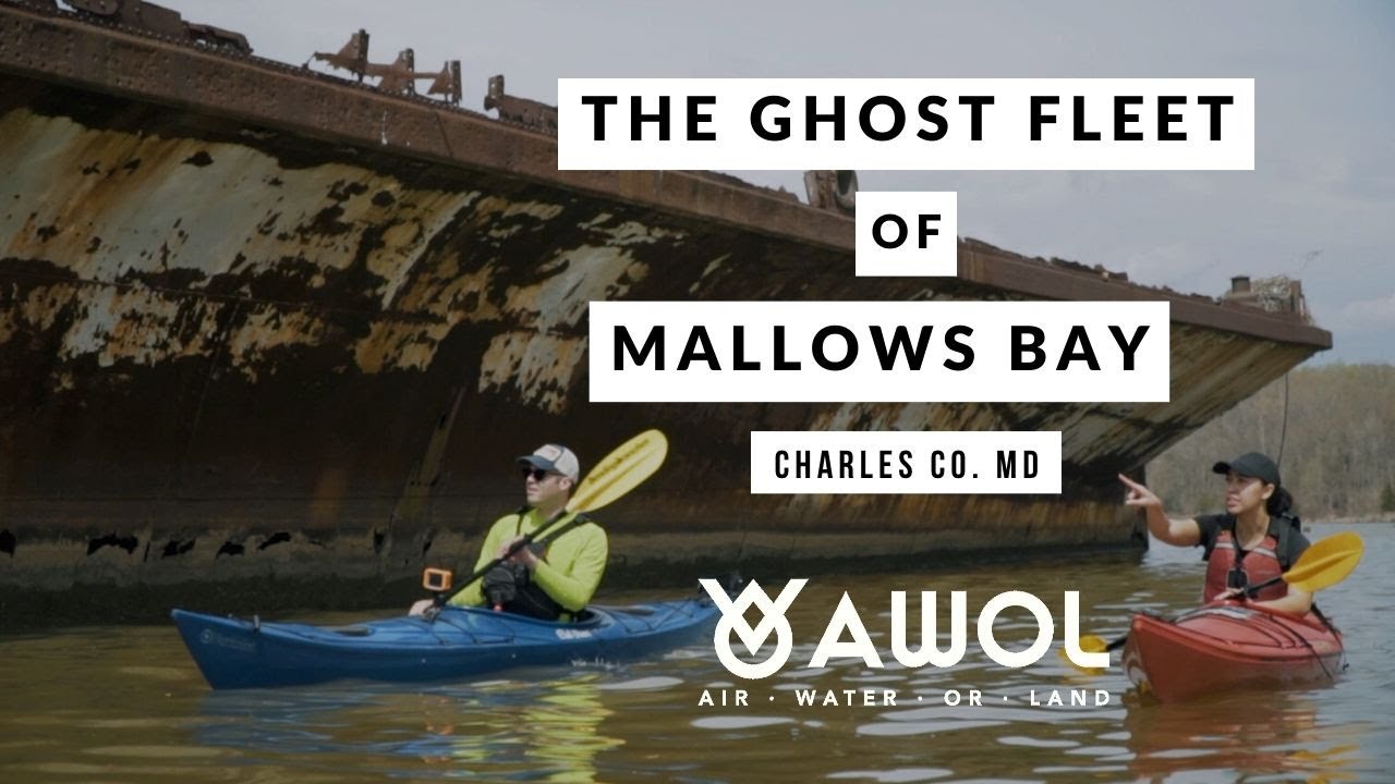 Kayaking Through the Ghost Fleet of Mallows Bay, Charles Co. MD | AWOL: Air Water Or Land