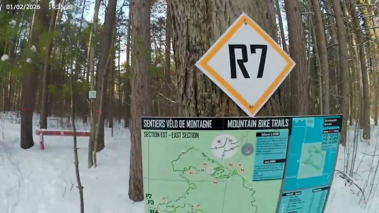NEW YEARS SNOW WALK THROUGH THE FOREST (SECOND VLOG)