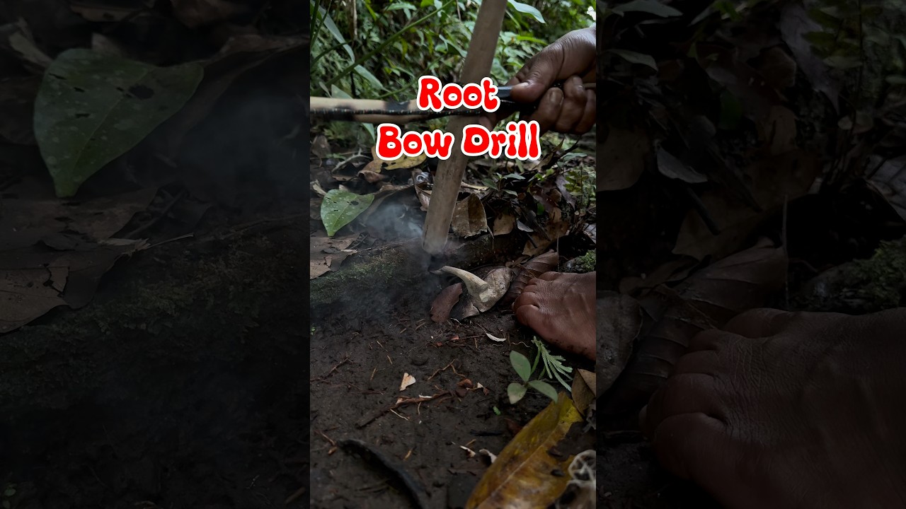 Root fire board, bow drill  #bushcraft #campfire #survival