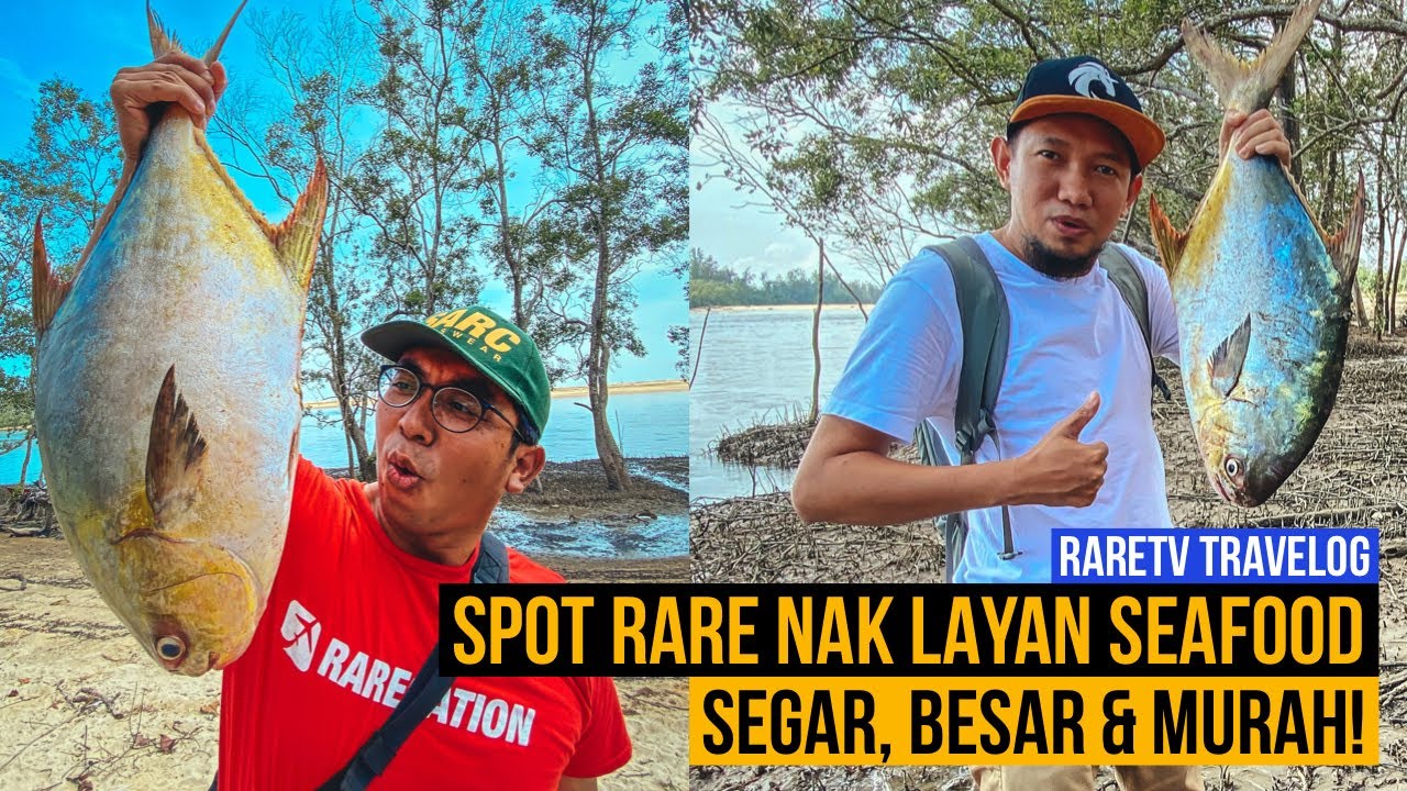 Ikan Bawal 5kg Tangkap Pakai Tangan di Port rahsia!