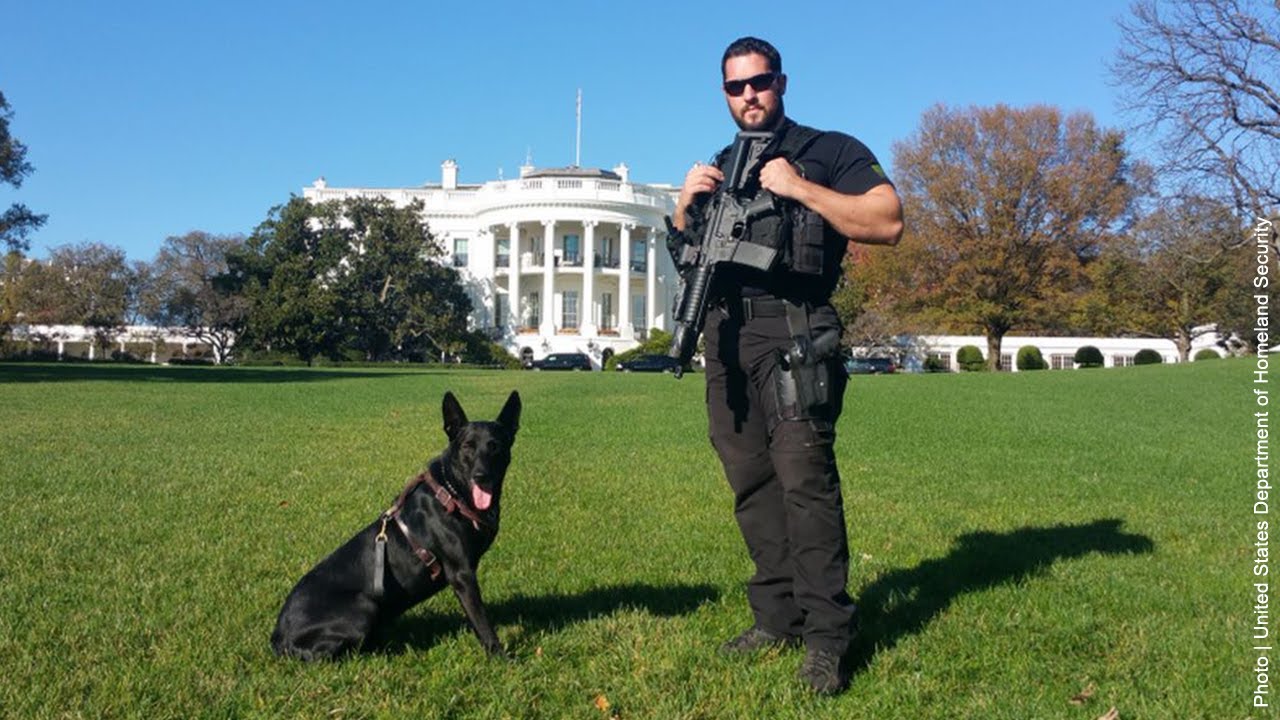 Secret Service K9 and handler honored for guarding White House