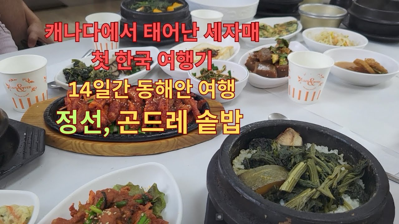 (Travel Vlog 7 in 🇰🇷)울산바위보다 더 힘든 가리왕산 오르고 먹는 정선 곤드레 솥밥 그리고 더덕구이,  잠만 자면 되요 5만원 정선장