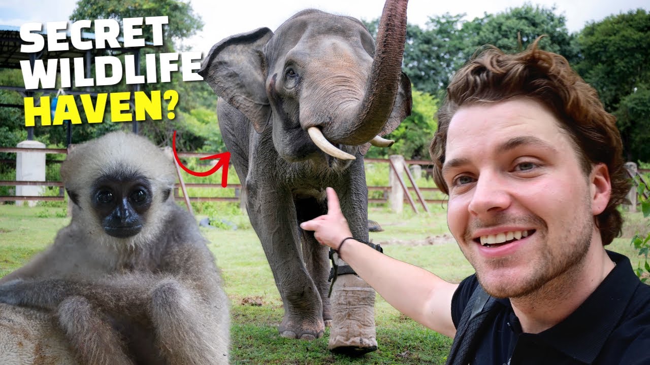 INSIDE CAMBODIA&rsquo;S MOST SECRETIVE WILDLIFE RESCUE CENTRE 🐾🇰🇭 | WILD TRIPS