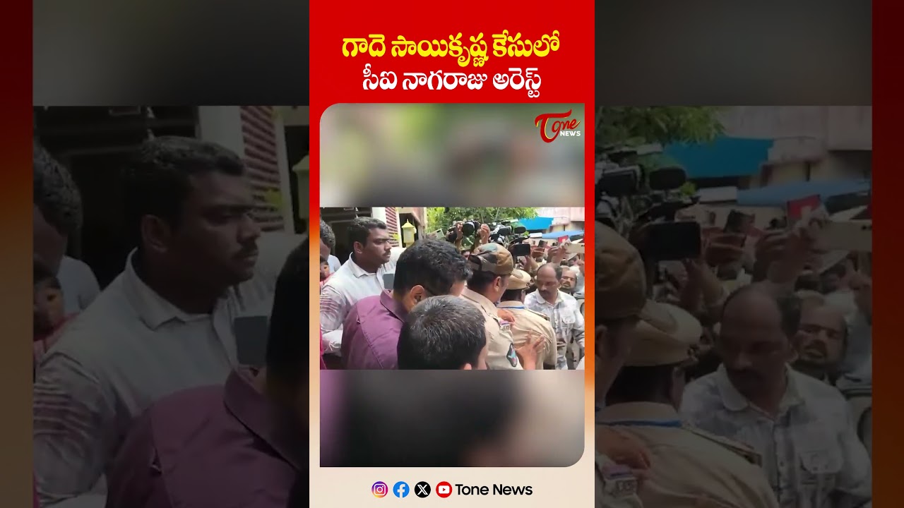సీఐ నాగరాజు అరెస్ట్ | Krishnalanka CI Nagaraju Arrest | Gade Sai Krishna Case | #shorts #tonenews