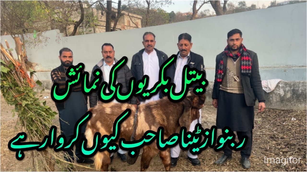Beetal Bakriuo Ki Nimaish Ky Matlik Rab Nawaz Tina Sahb Ka Message SarSubha Jungle Hotel 