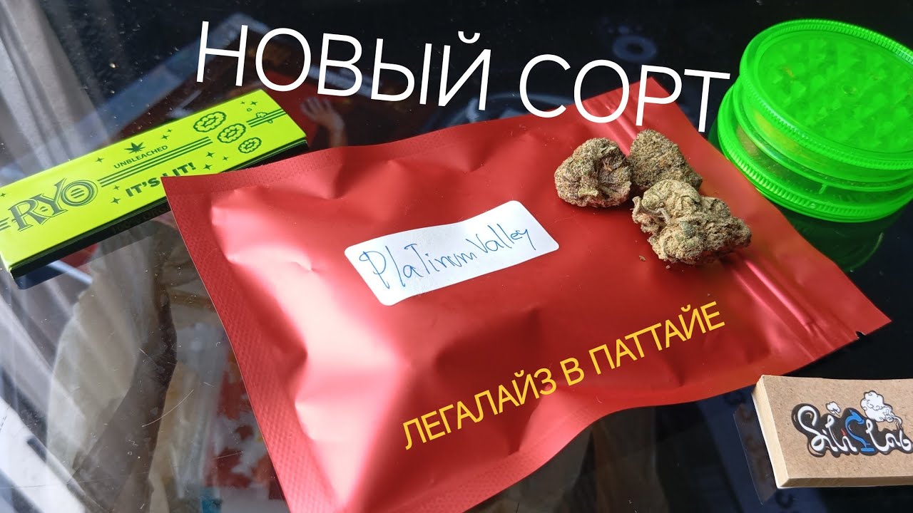 Пробую новый сорт Platinum Valley. обсуждаю легалайз в Паттайе | Мелкая прогулка по вечернему городу