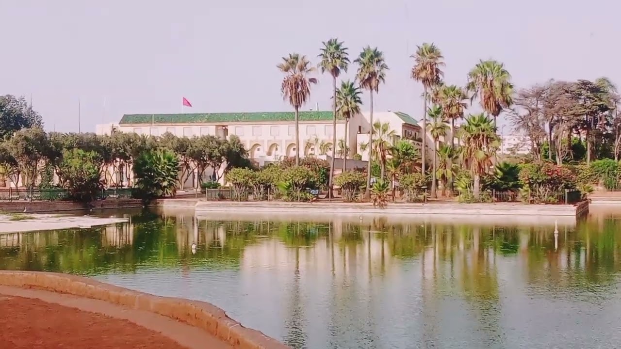 موطن طائر الحسون قديما الأن إنقرض 