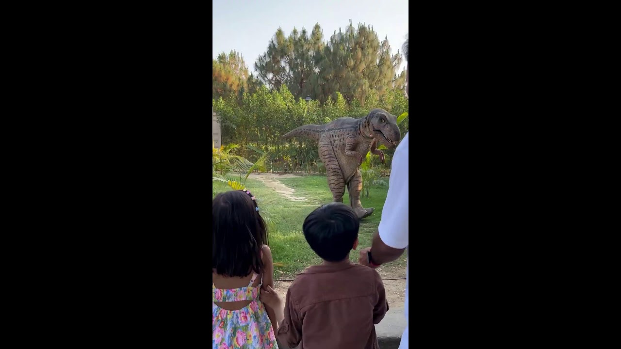 fun and learn with laddu ♥️ Live Stream