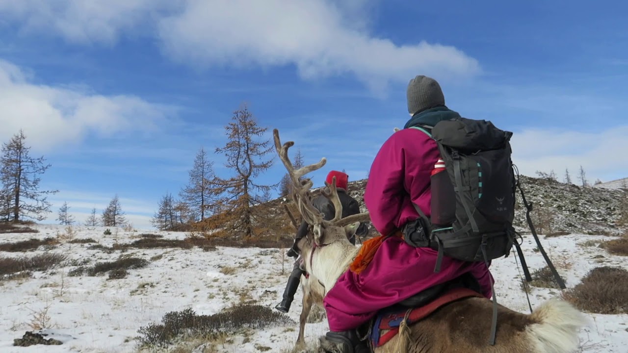Riding reindeer
