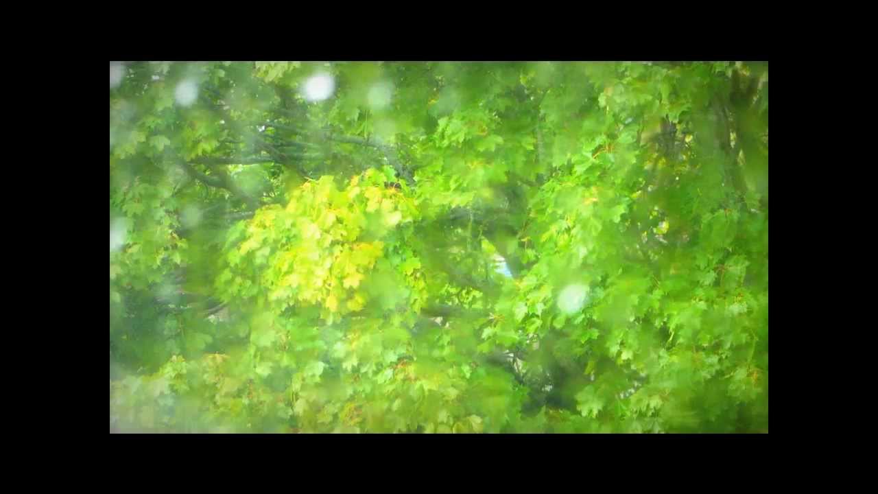 Freedom Blade - This Will Destroy You