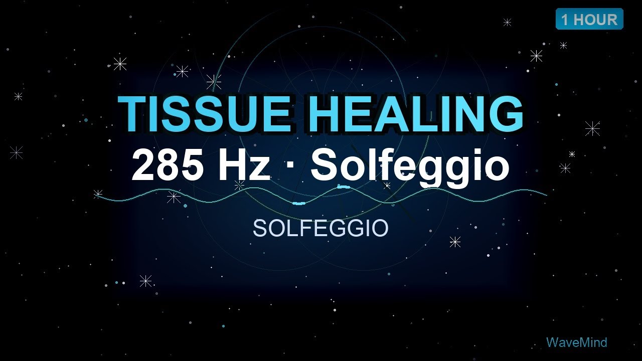 285 Hz Solfeggio | Binaural Beats | Tissue Healing & Organ Rejuvenation | 1h | No Ads