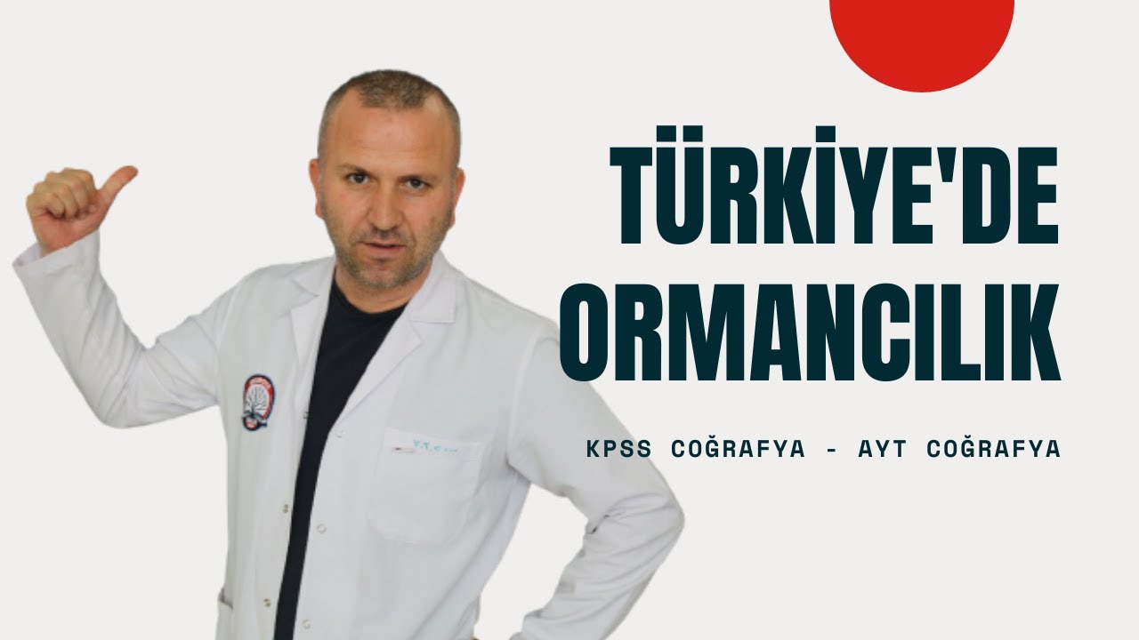 TÜRKİYE'DE ORMANCILIK #kpsscoğrafya #aytcoğrafya #coğrafya #ormancılık