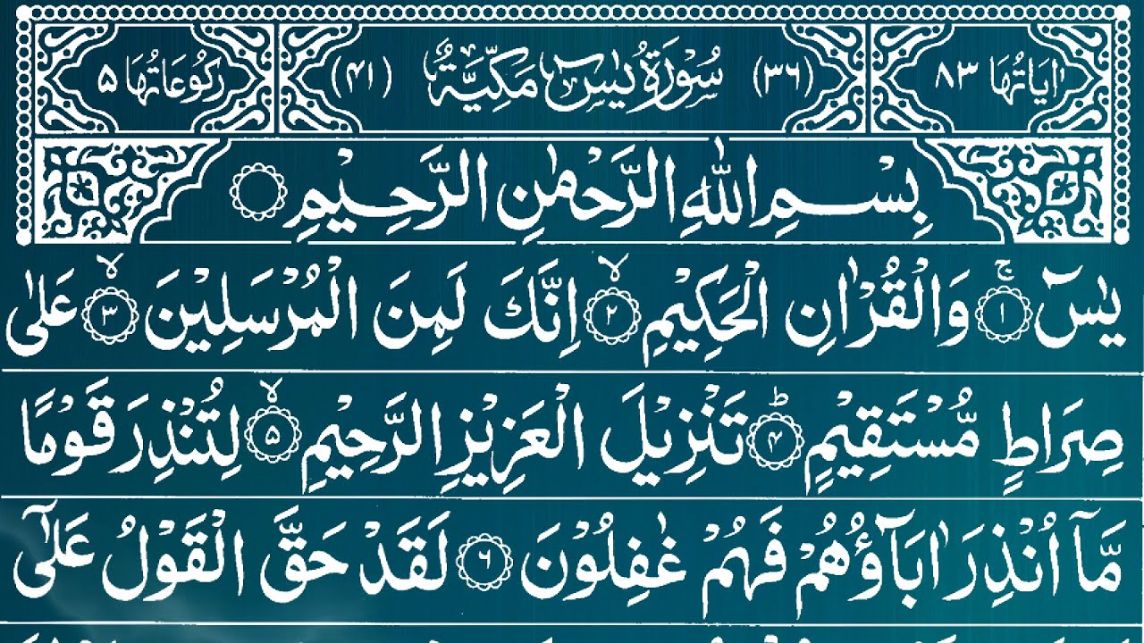 Surah Yasin | Surat Yaseen | Beautiful Quran Recitation | Quran for Stress Relief And Healing