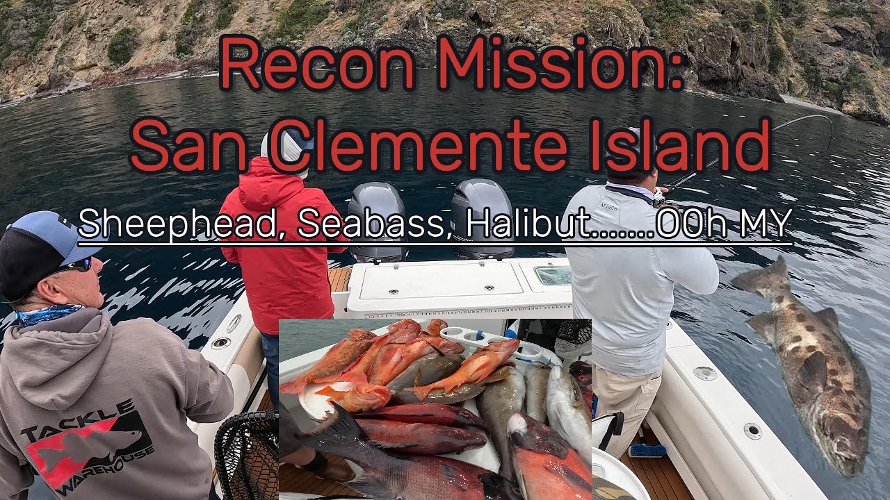 Recon Mission: San Clemente Island