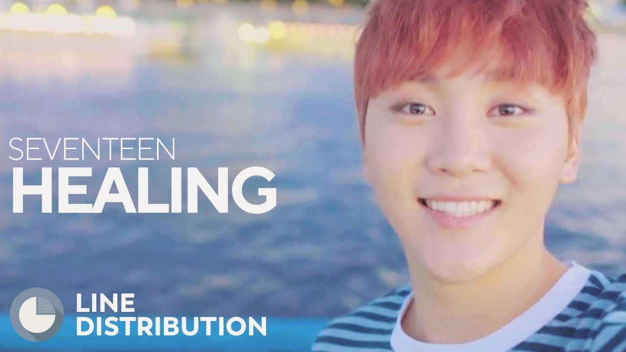 SEVENTEEN - Healing (Line Distribution)