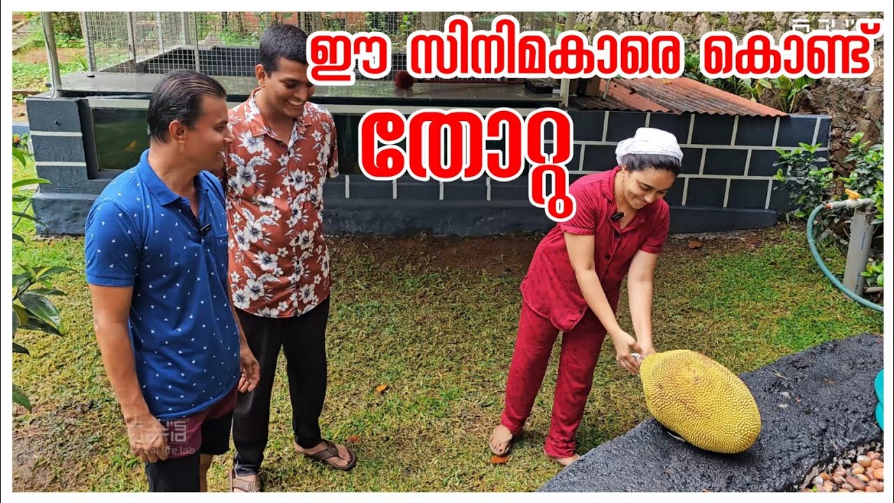 ഇവിടെയും ഞാൻ നല്ല കുടുംബിനി ആയിരിക്കും /Meen mulakittathu /Easy fish curry /Kerala meen curry