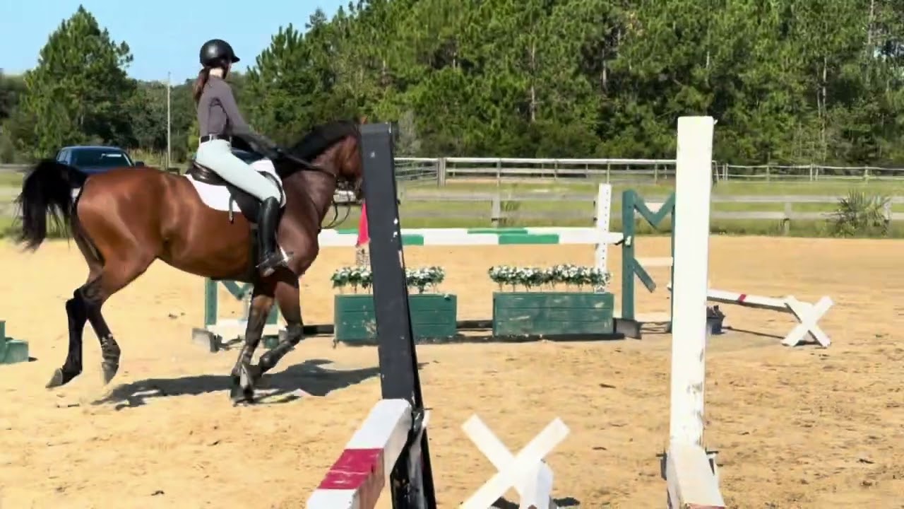Samantha Baggett - 1.00m course work at home