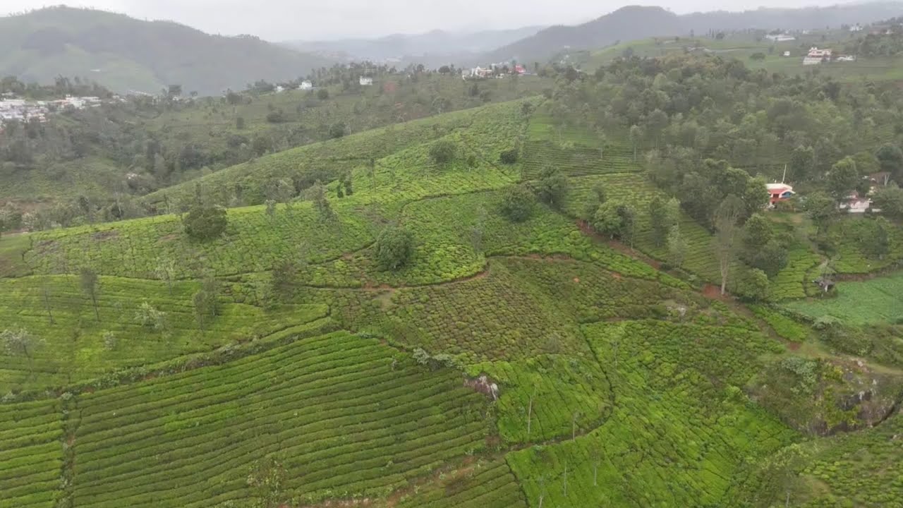 Coonoor - Drone view