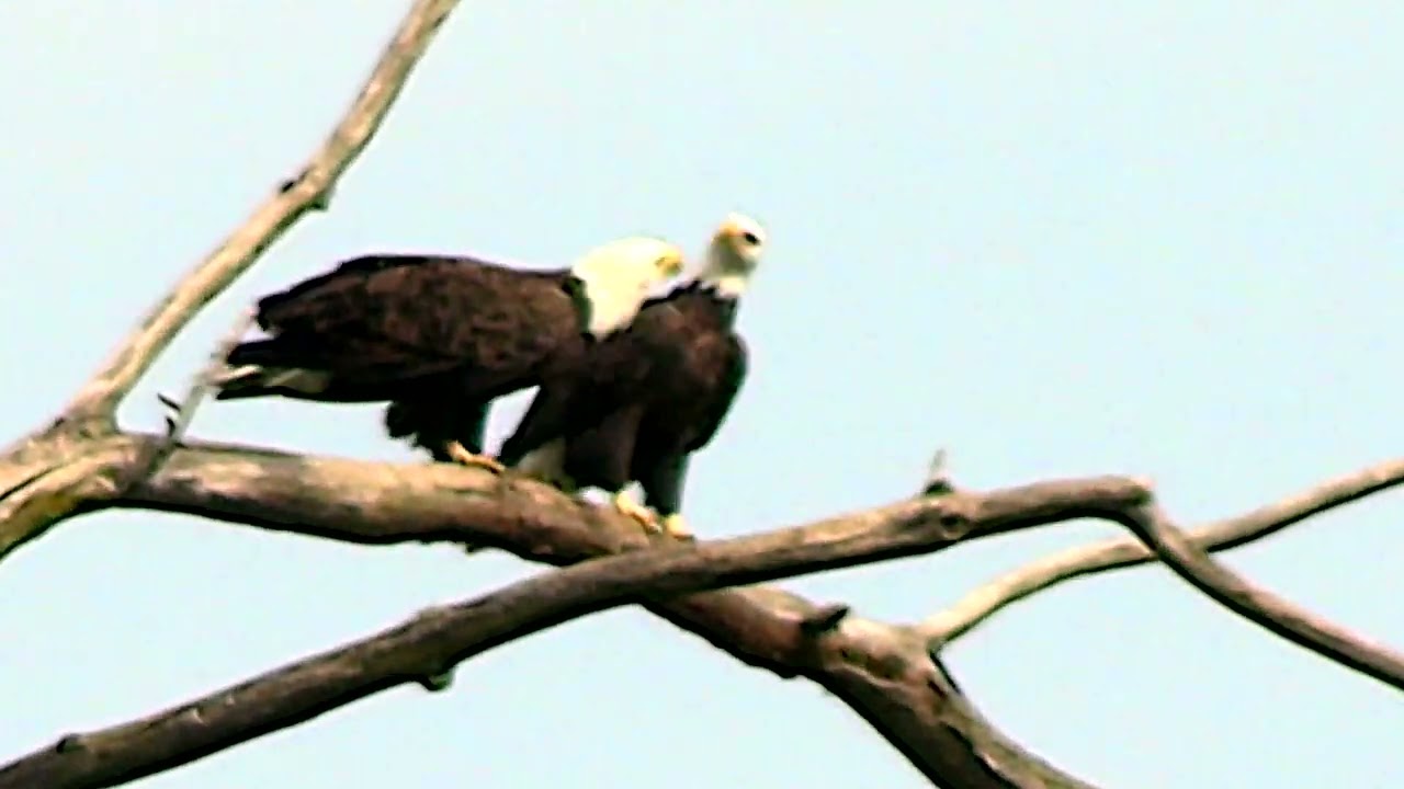Montezuma Wildlife Refuge drive