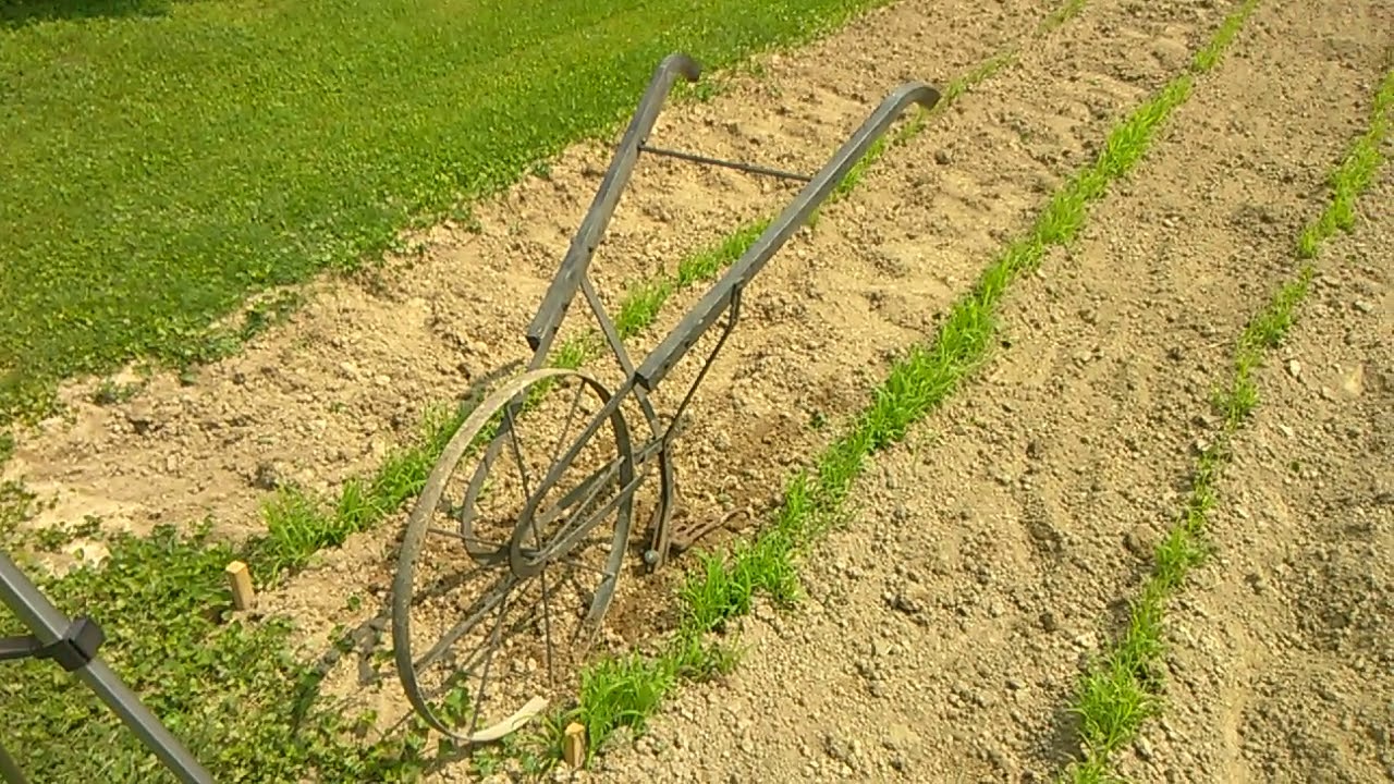 June 6, 2019,, Hi Wheel Plow ,,Just An Old Garden Tool,,