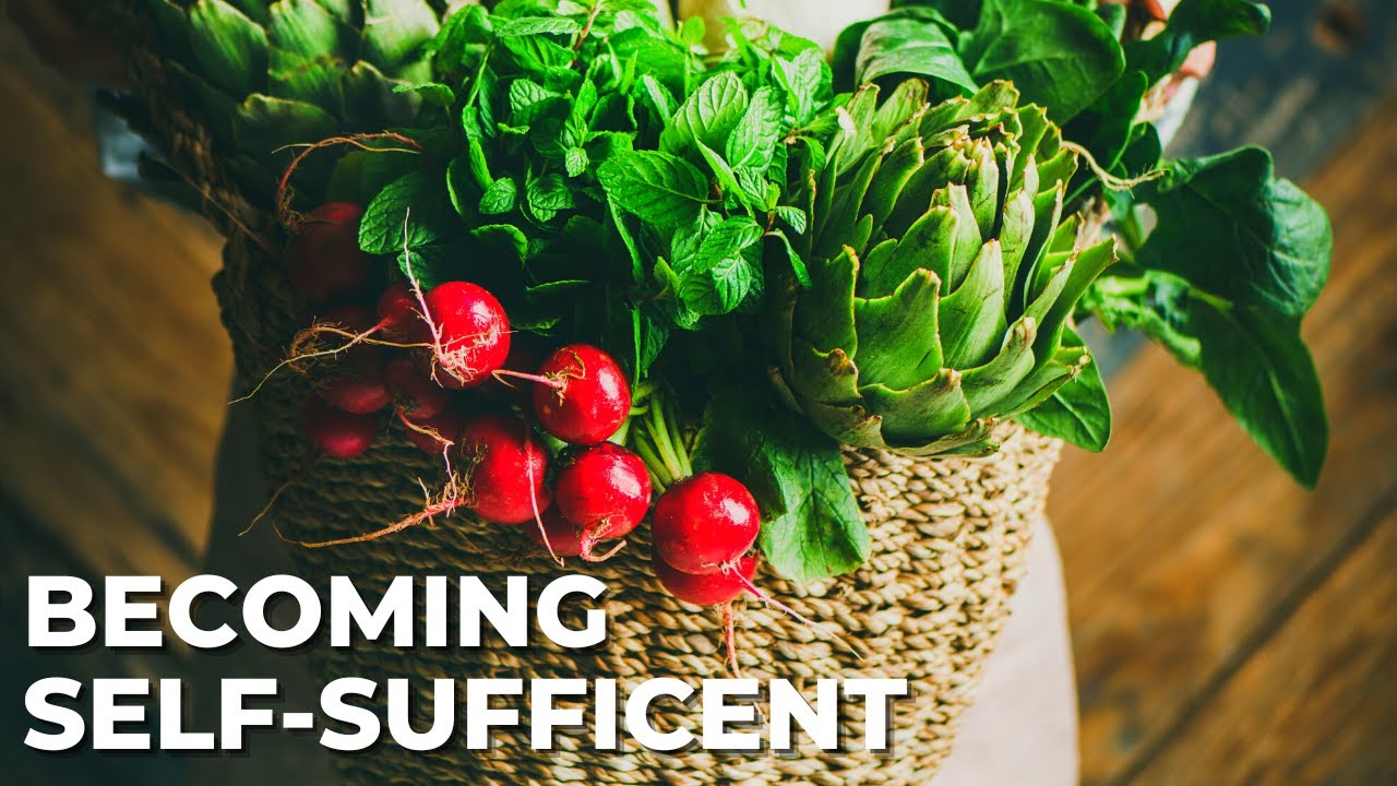 Why This Young Couple Started Homesteading