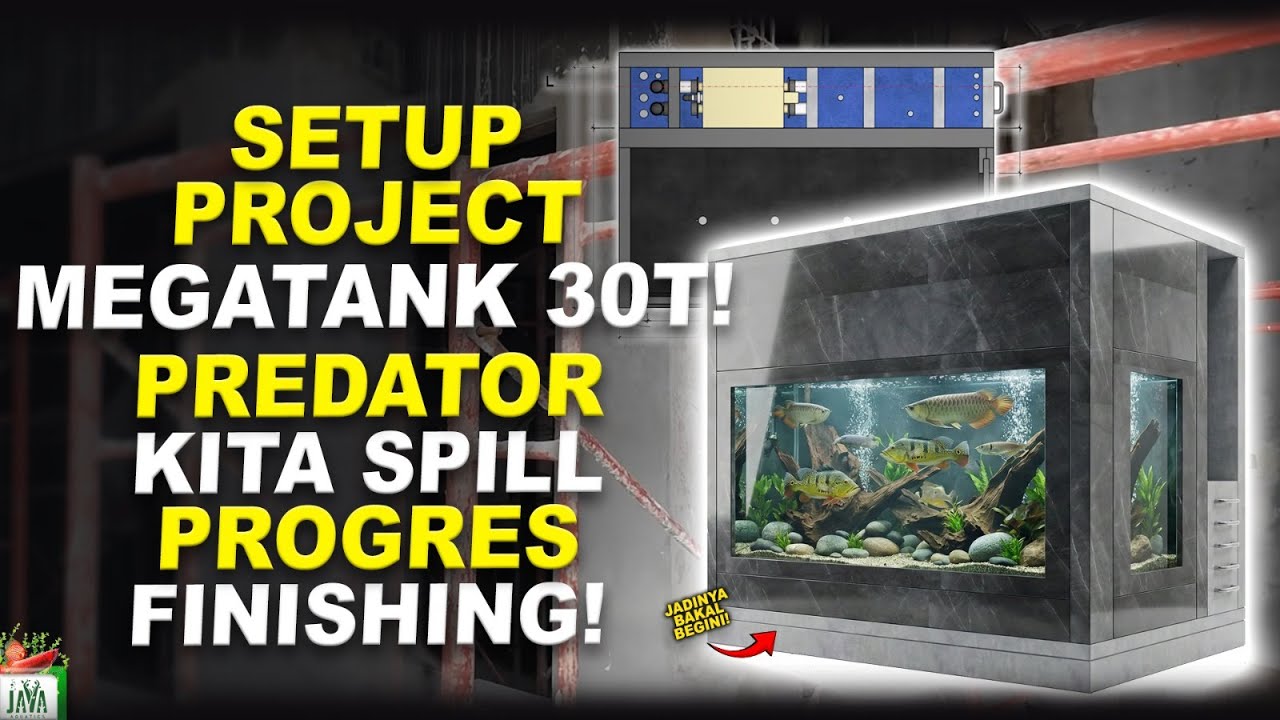 TINGGAL FINISHING! SETUP KOLAM 30 TON & MEGA TANK PREDATOR