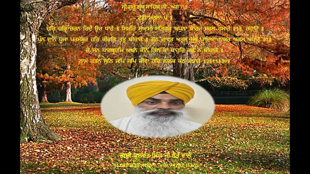 ਹਰਿ  ਹਰਿ  ਚਰਨ  ਰਿਦੈ  ਉਰ  ਧਾਰੇ