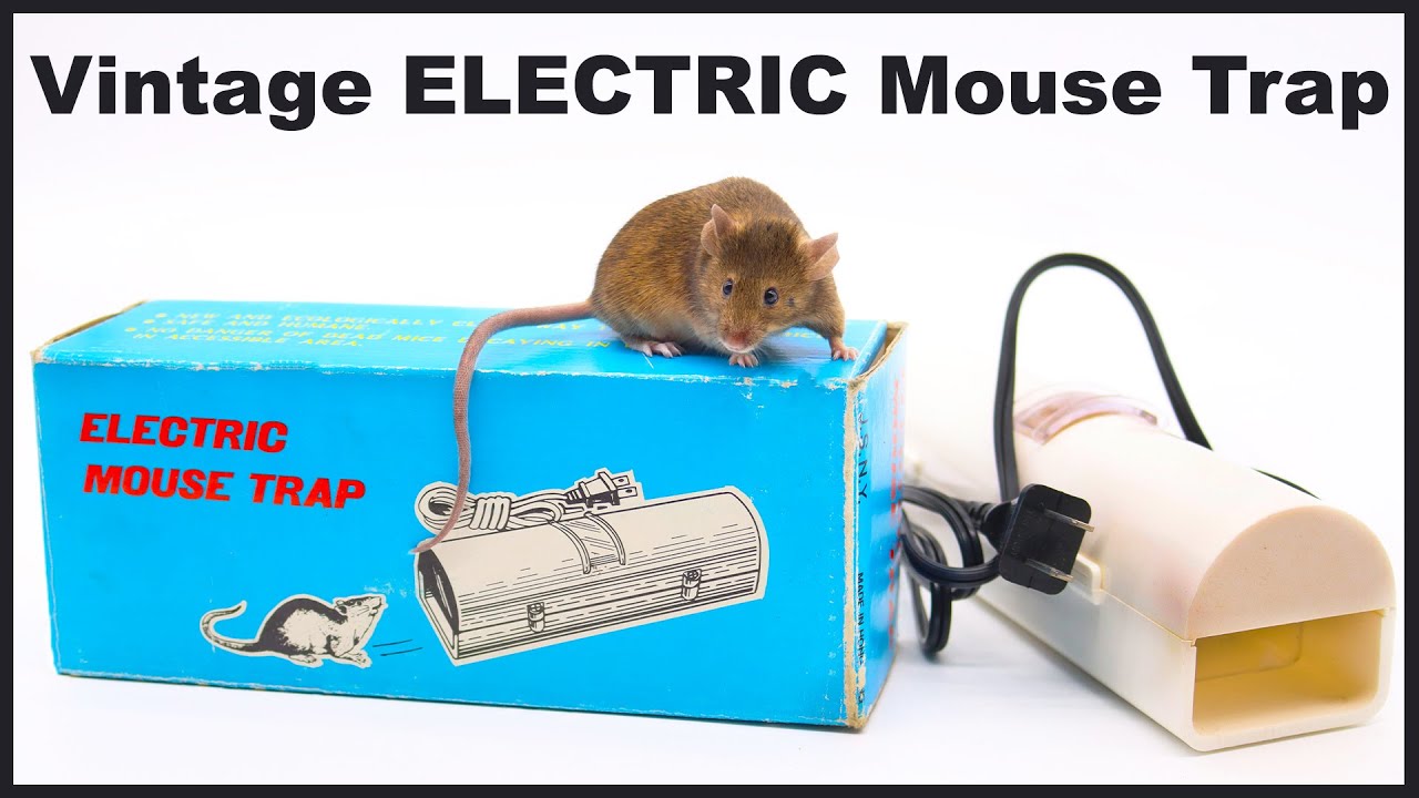 Will This Vintage Electric Mouse Trap Work? Mousetrap Monday