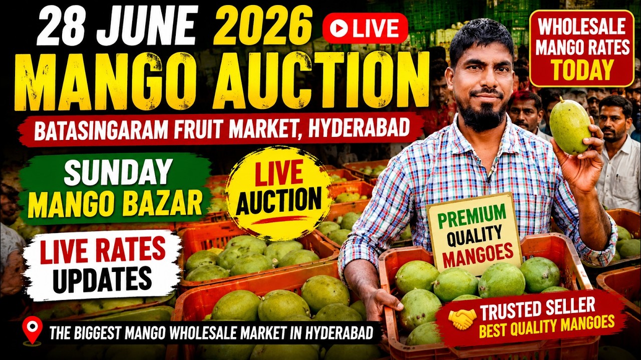 28 June 2026 Live Mango Auction | Batasingaram Fruit Market Hyderabad | Sunday Rates