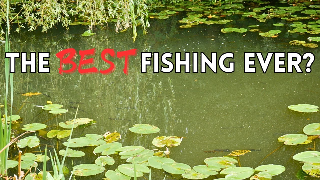 IS THIS THE MOST BEAUTIFUL FISHERY IN THE UK?