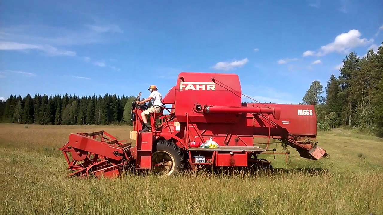 Tatu pui Timoteitä 10.8.2018